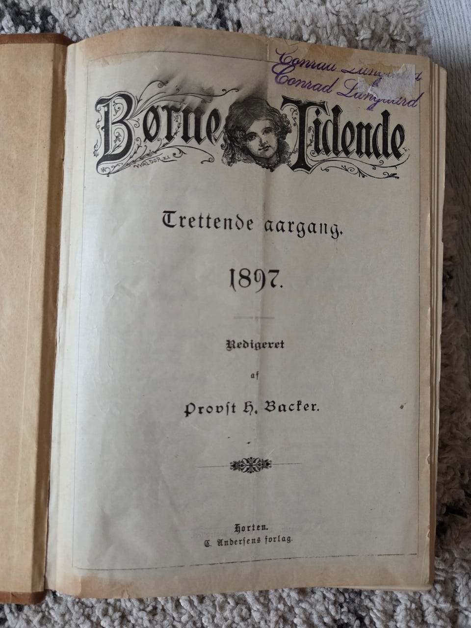 Galleribilde