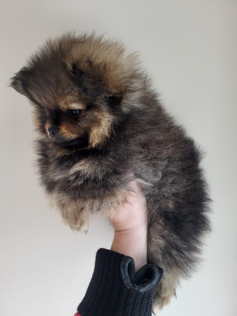 Product image 4 of 14