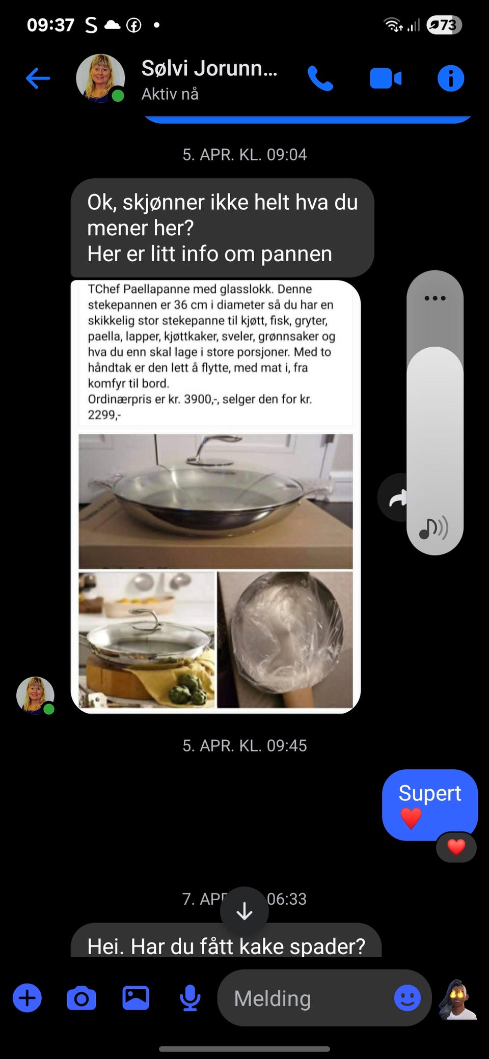 Galleribilde