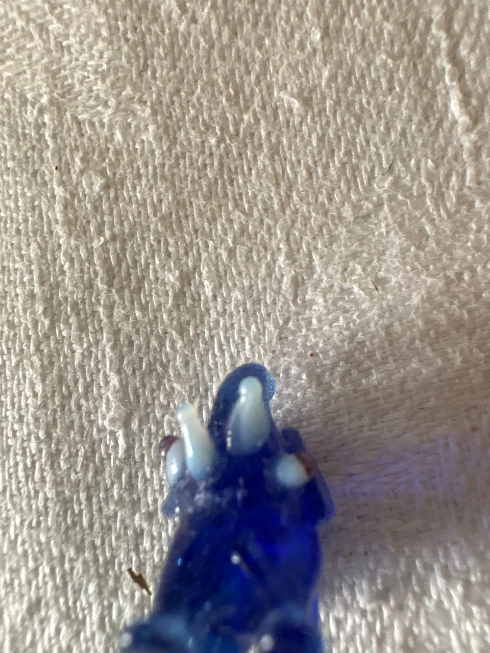 Product image 9 of 12