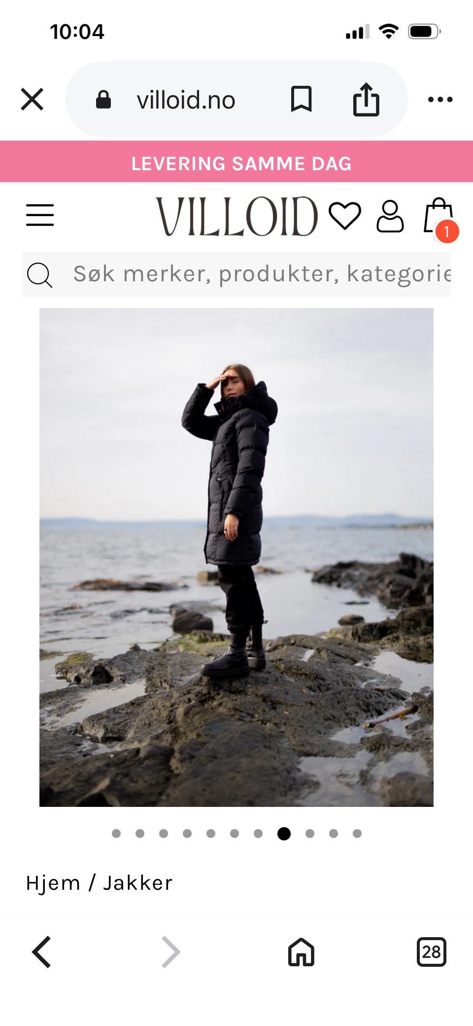 Galleribilde