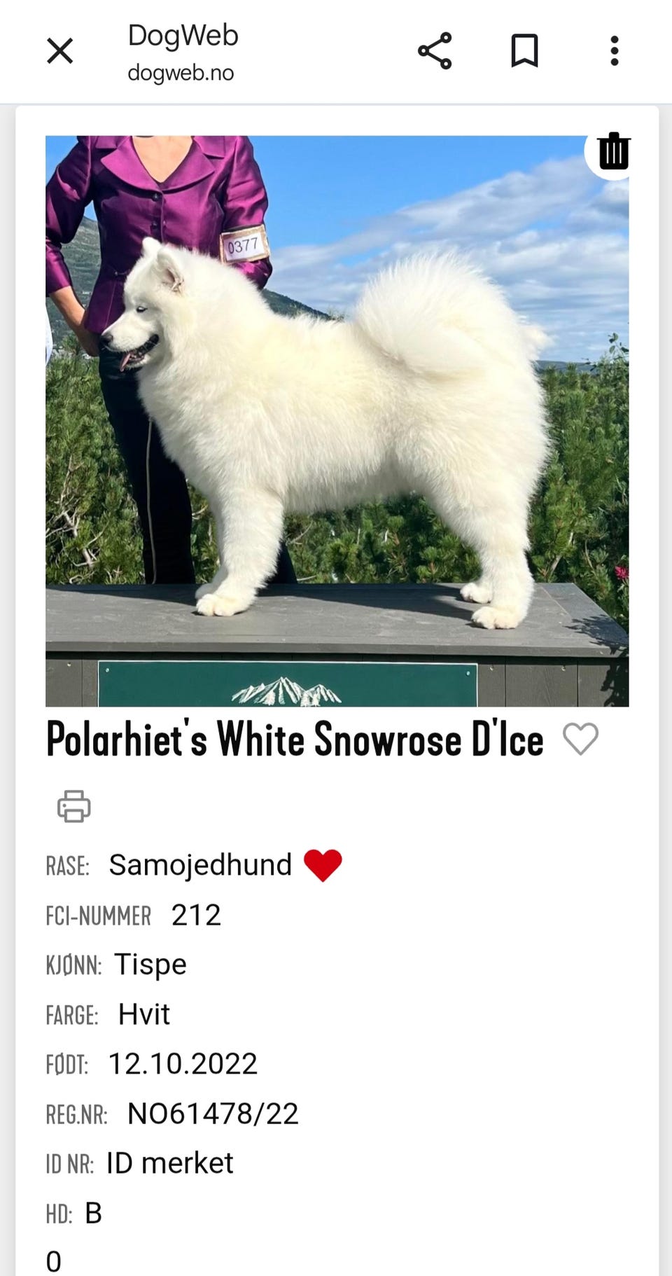 Galleribilde