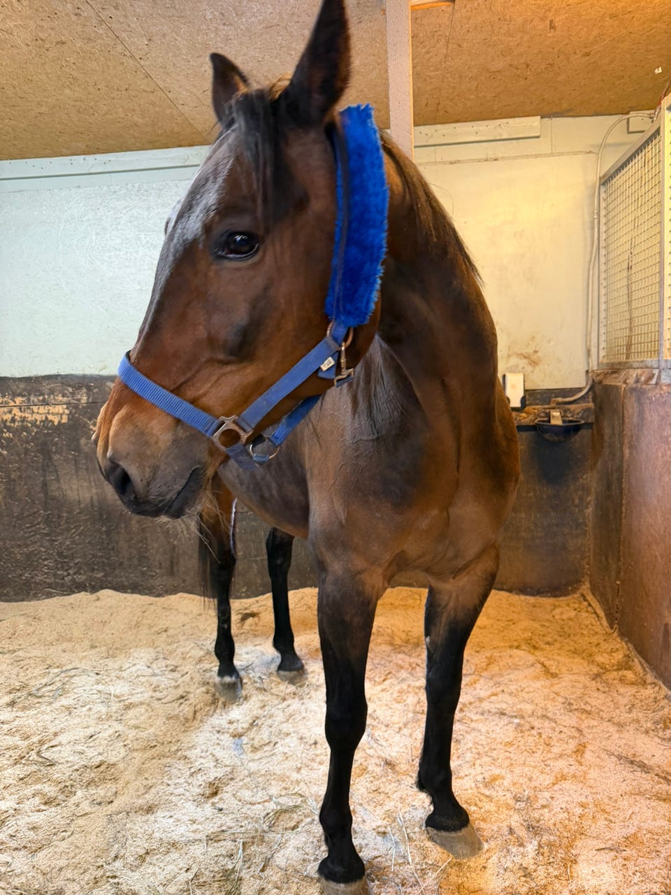 Product image 14 of 21