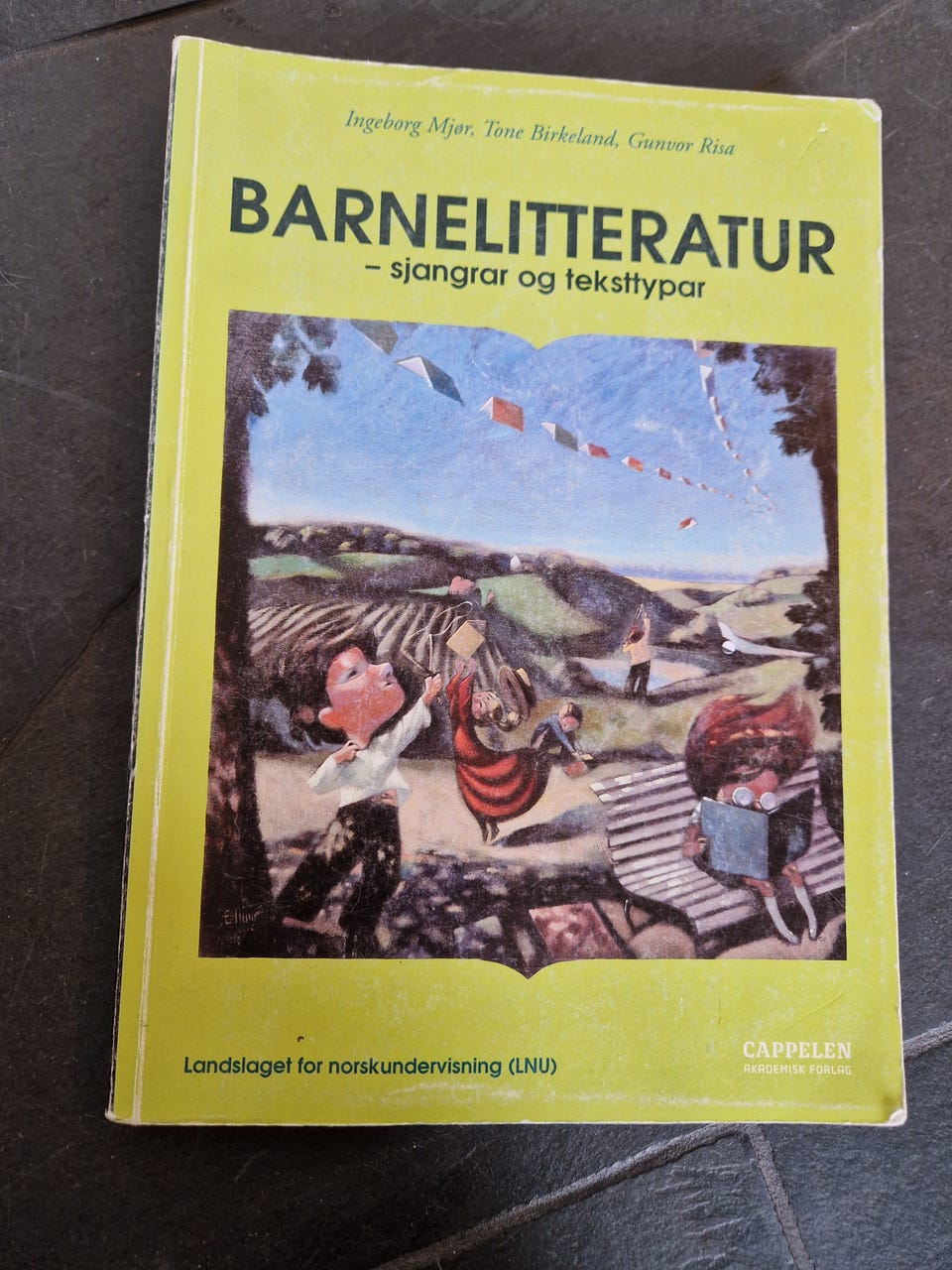 Galleribilde