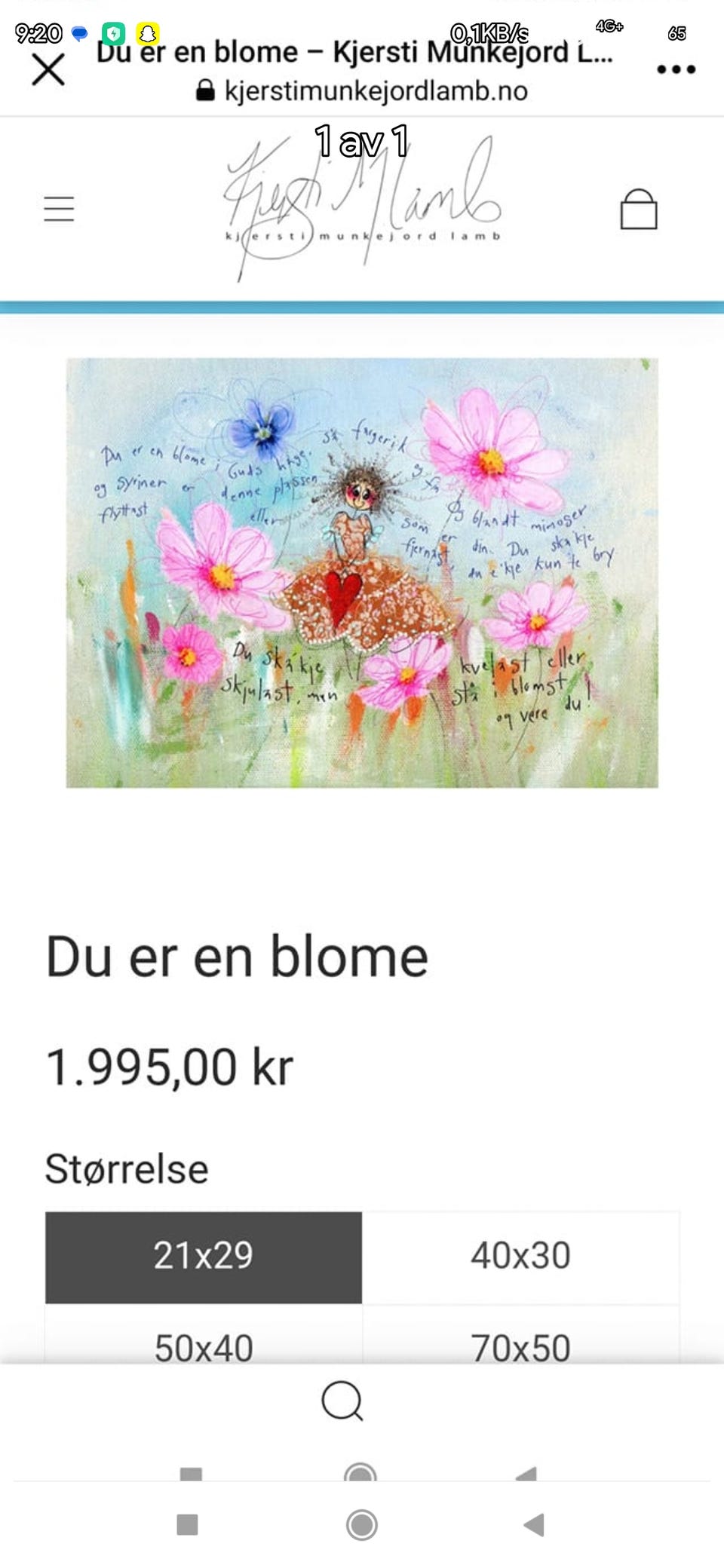 Galleribilde