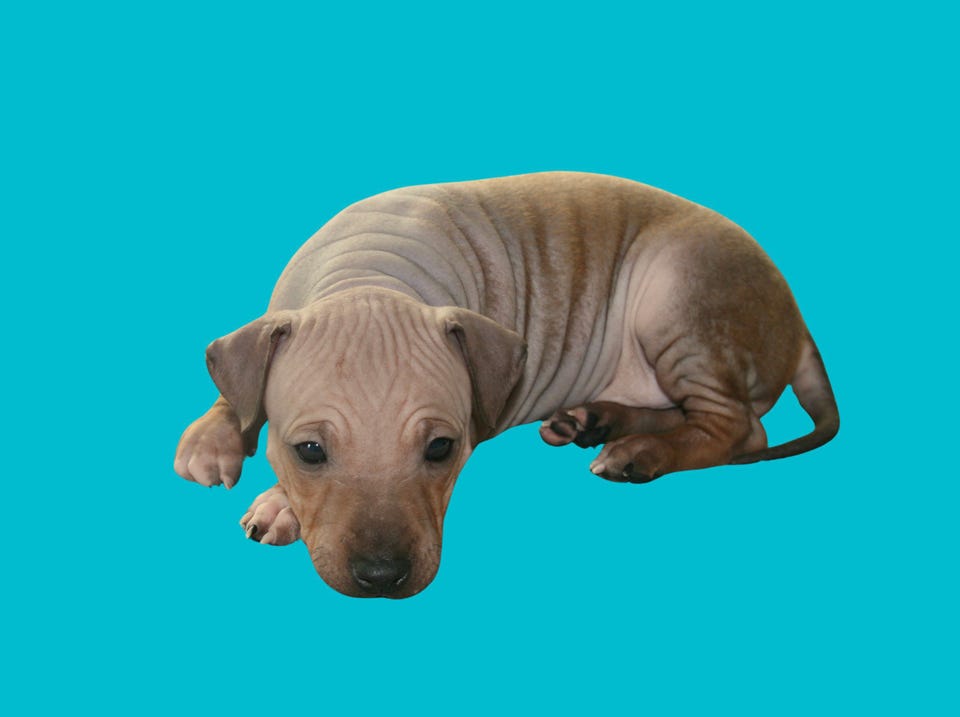 Product image 21 of 87