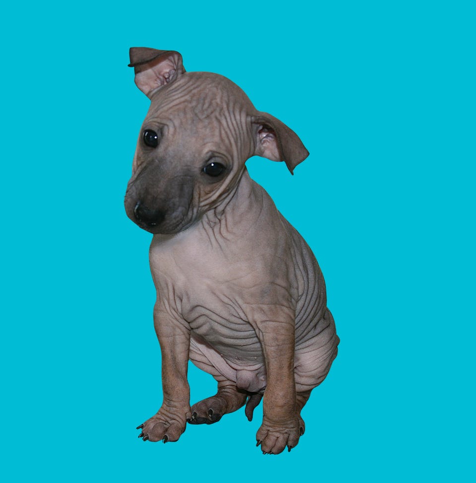 Product image 17 of 43