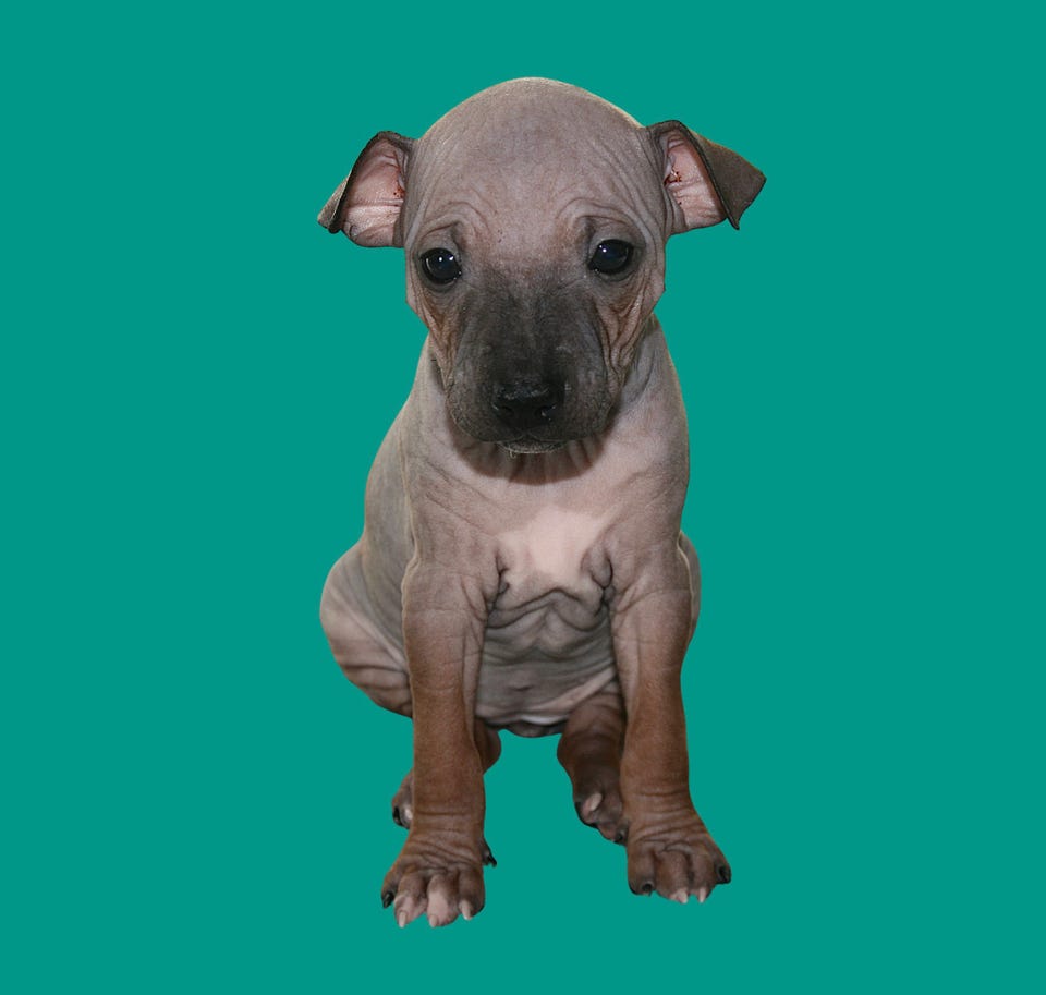 Product image 47 of 87
