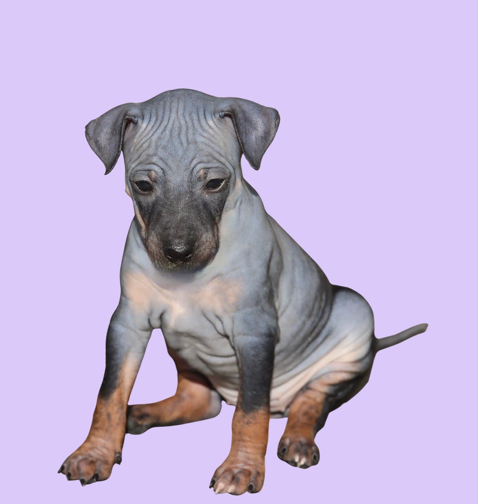 Product image 42 of 87