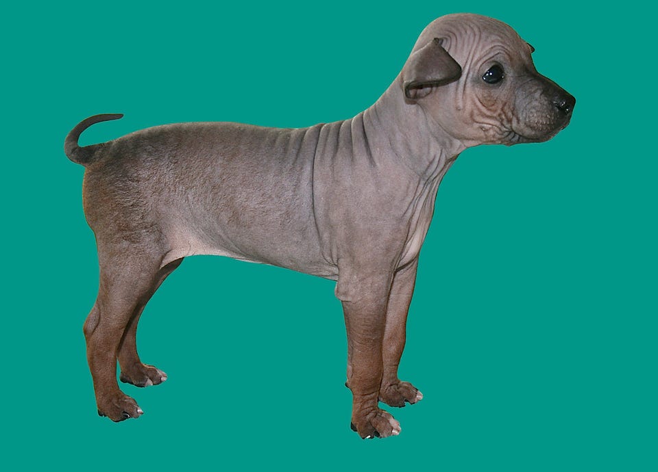Product image 44 of 87