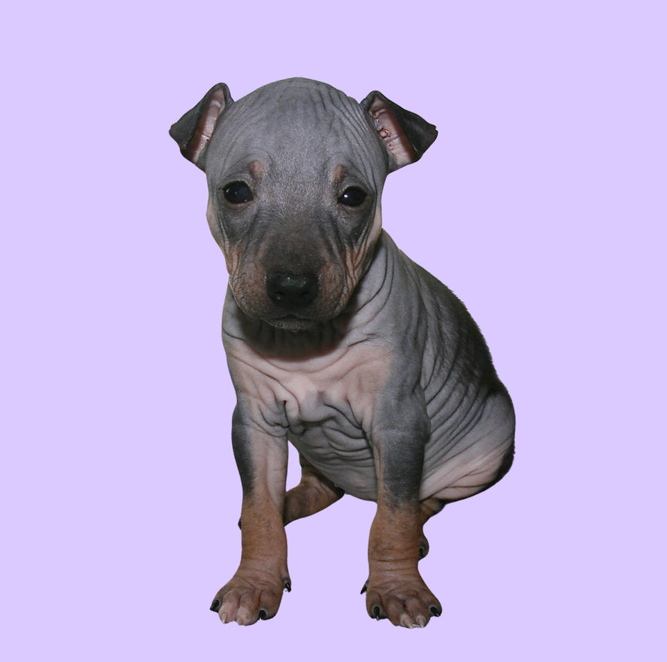 Product image 56 of 87
