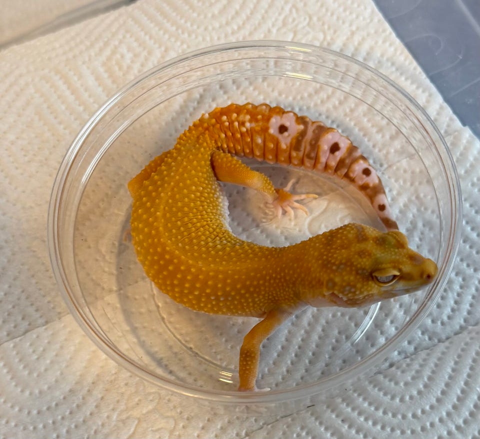 Product image 18 of 22