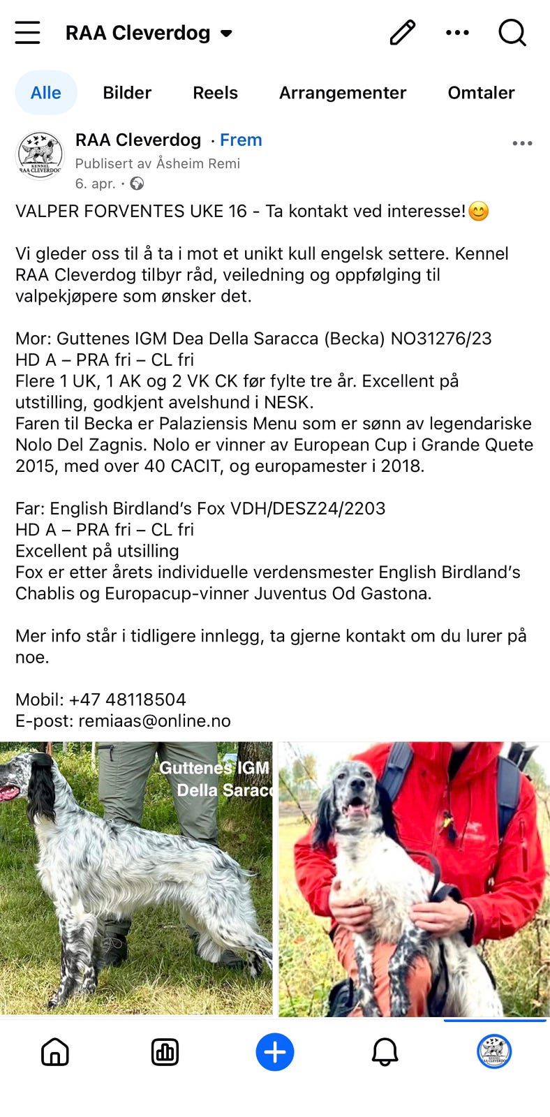 Galleribilde