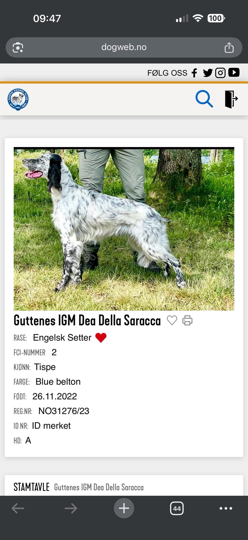Galleribilde