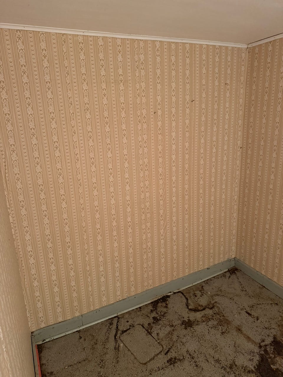 Product image 74 of 86