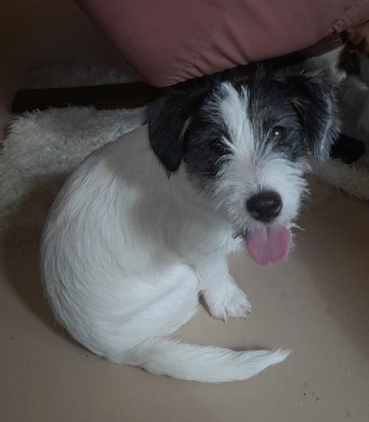 Product image 10 of 11