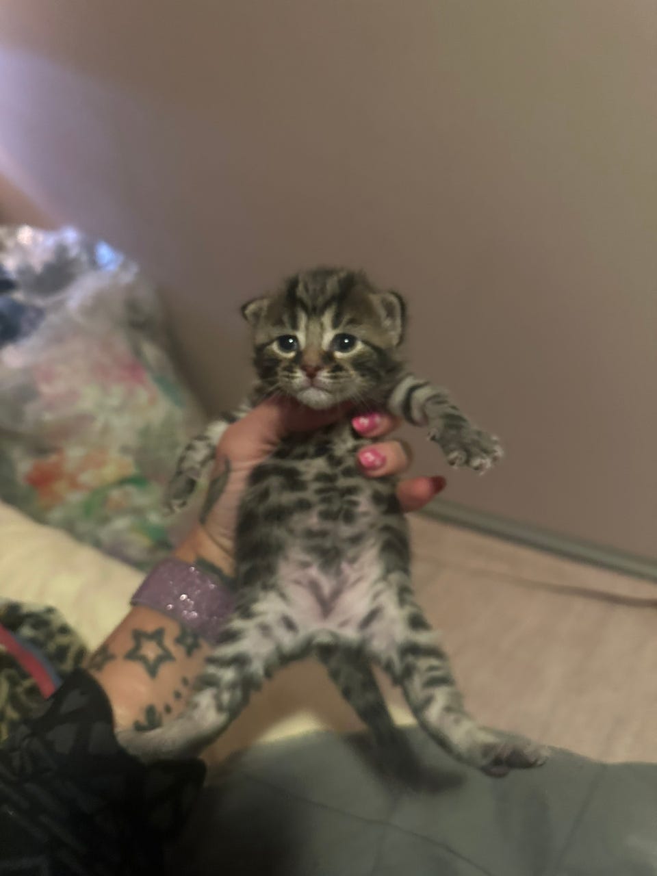 Product image 35 of 80