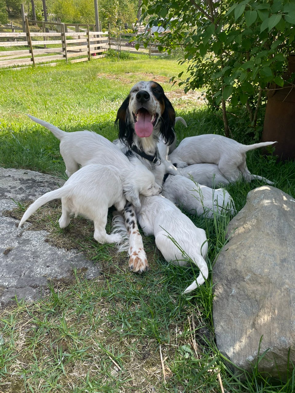 Product image 9 of 12