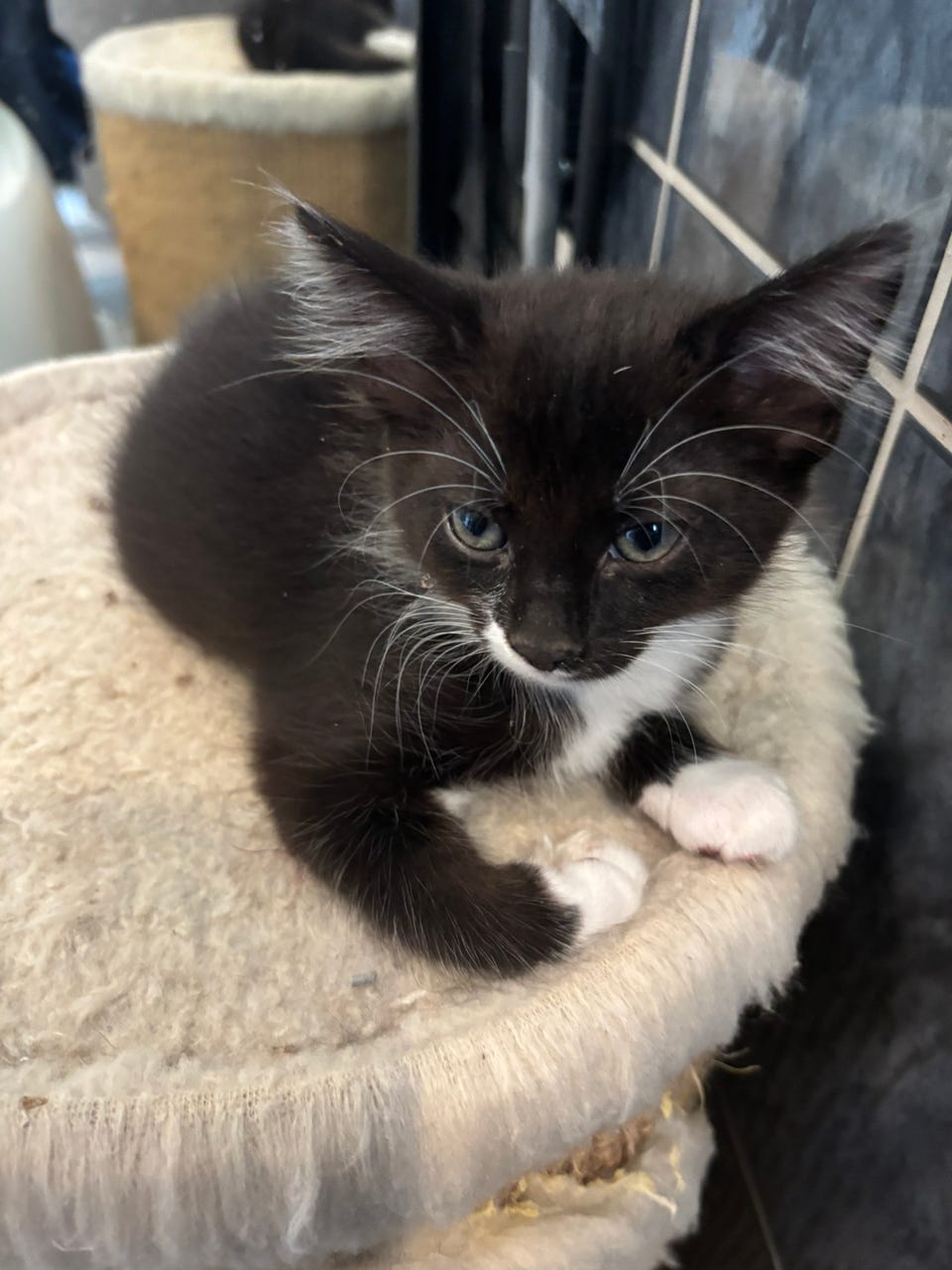 Product image 11 of 26