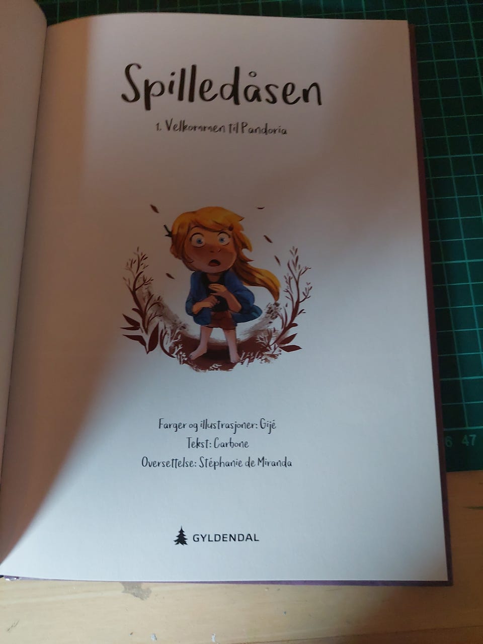 Galleribilde
