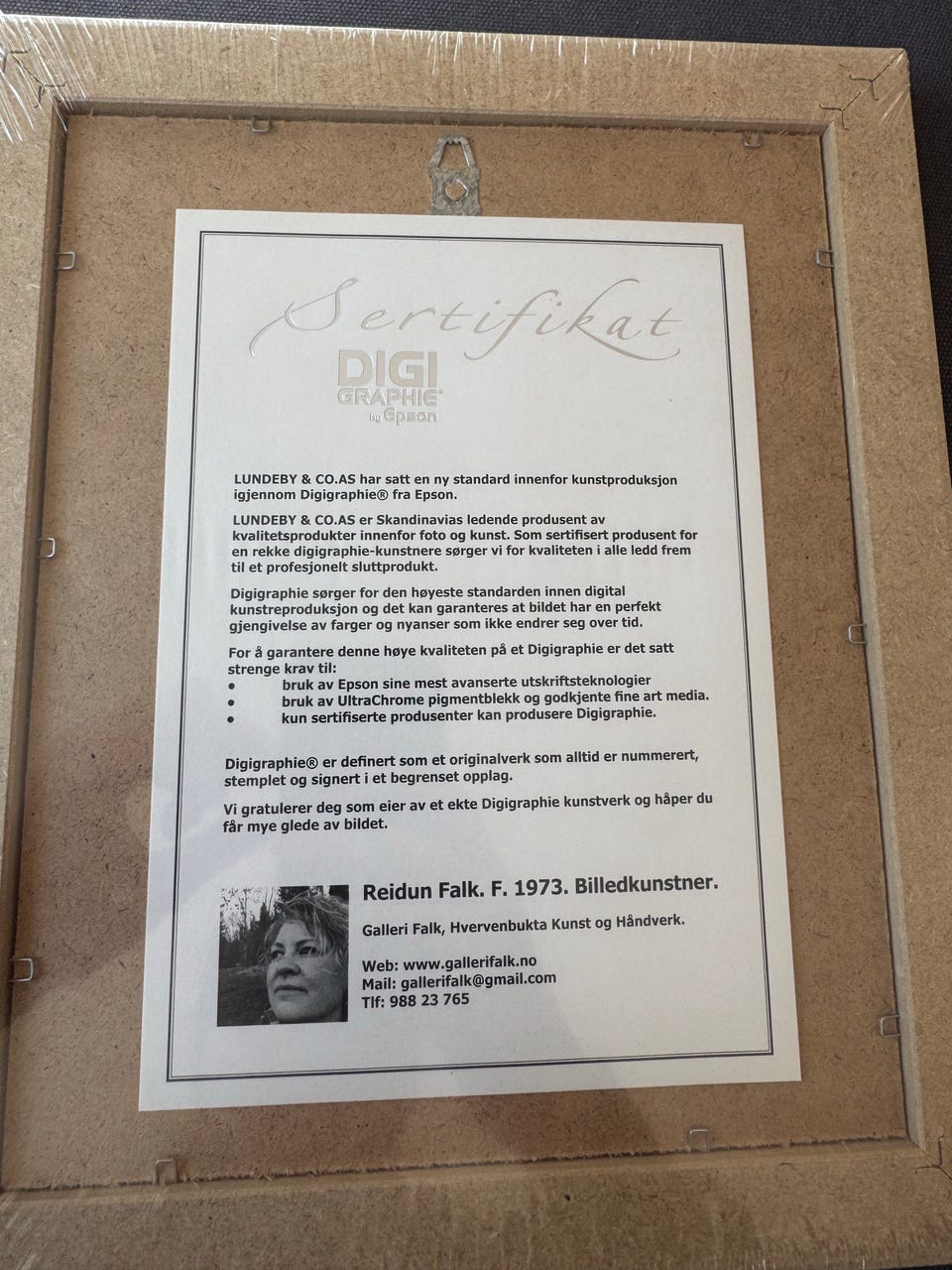 Galleribilde