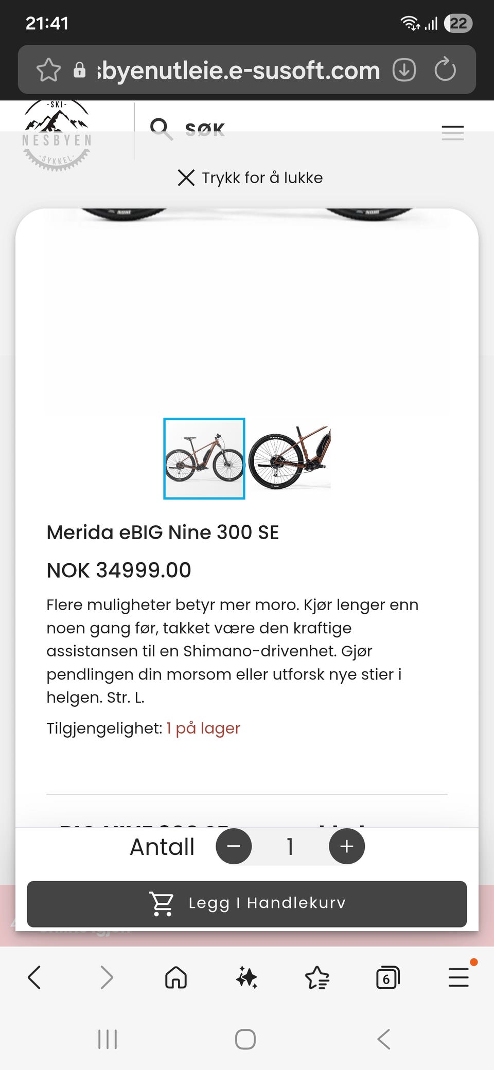 Galleribilde