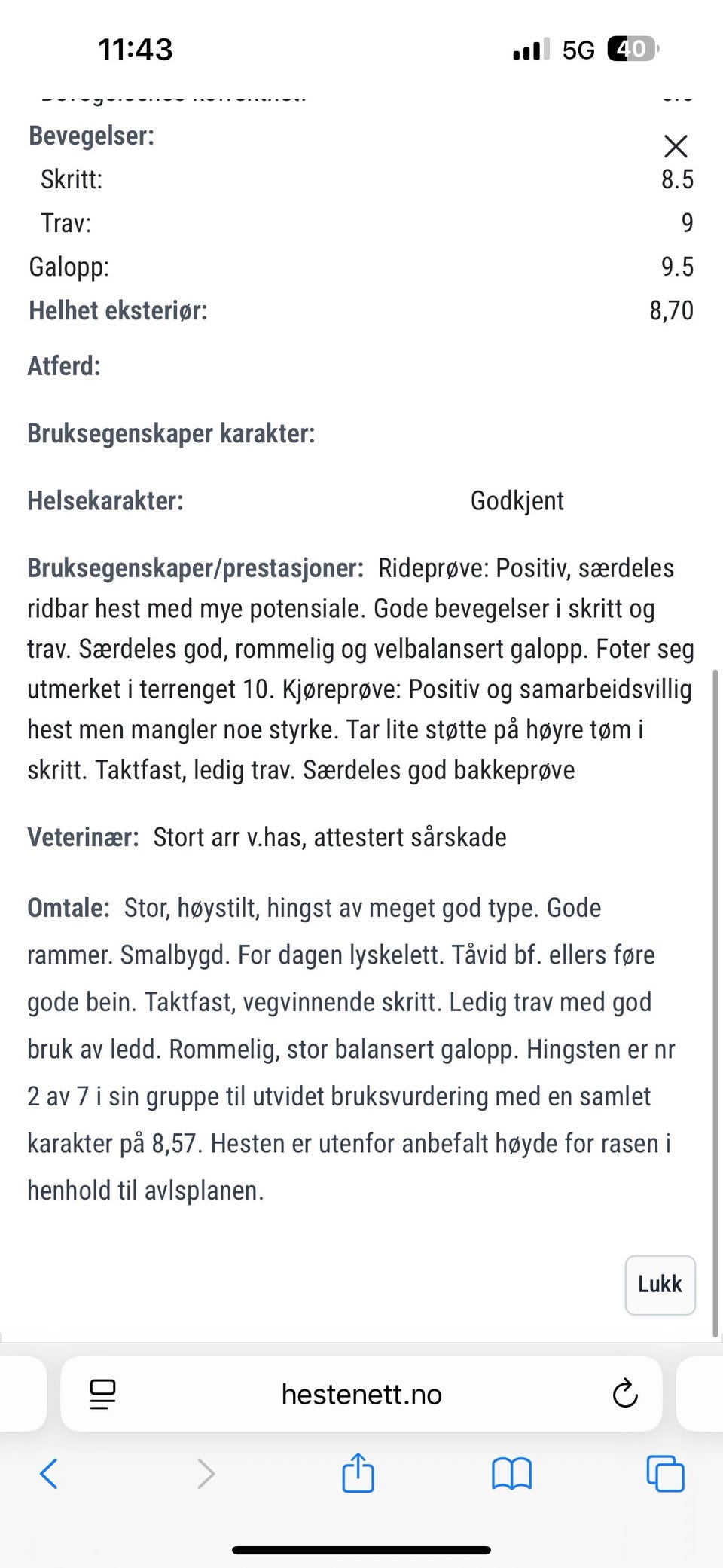 Galleribilde