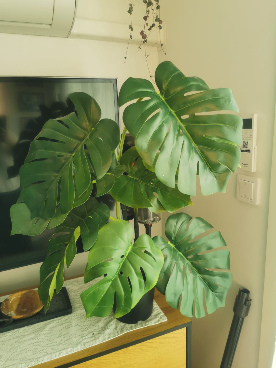 Kunstig monstera i plast - Fejka | FINN-torget