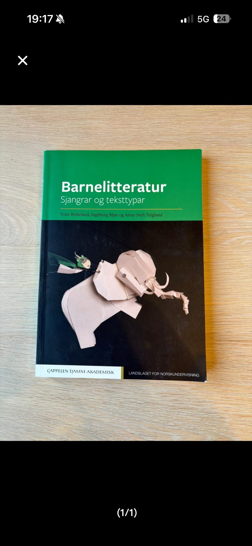 Galleribilde