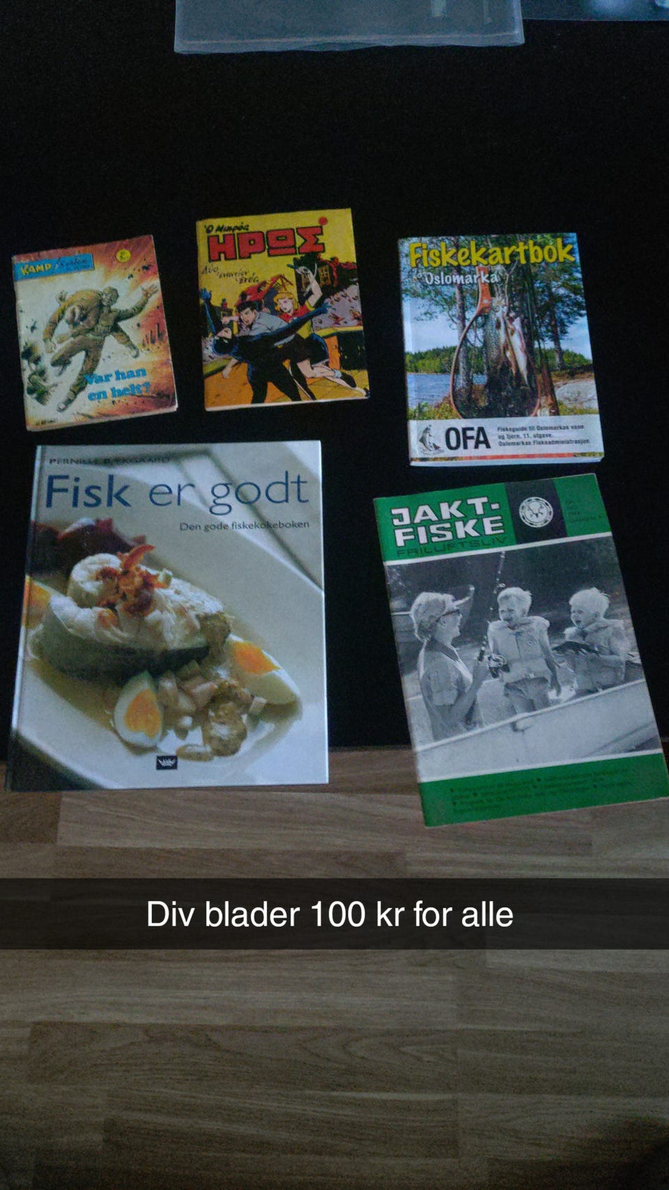 Galleribilde