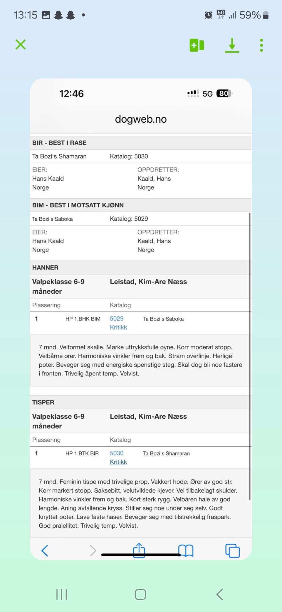 Galleribilde