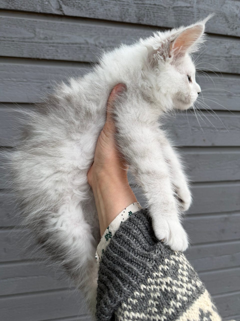 Product image 26 of 27