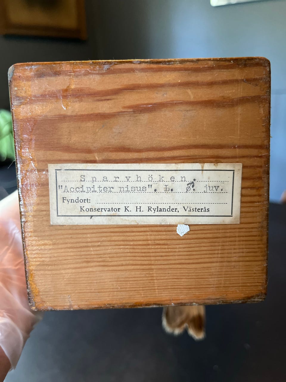 Product image 4 of 7