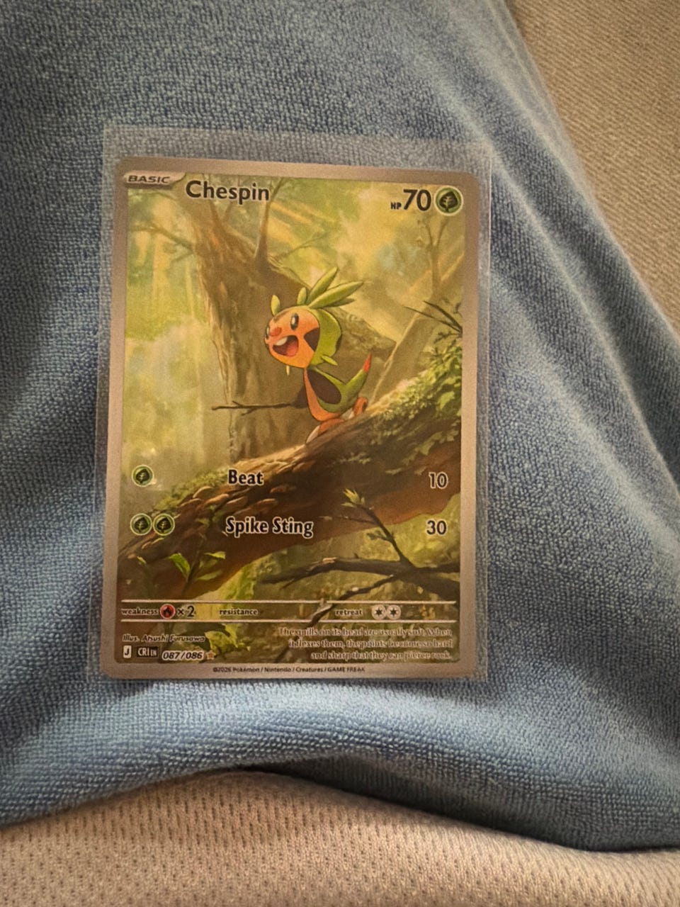 Pokmon kort Chespin holo | FINN-torget