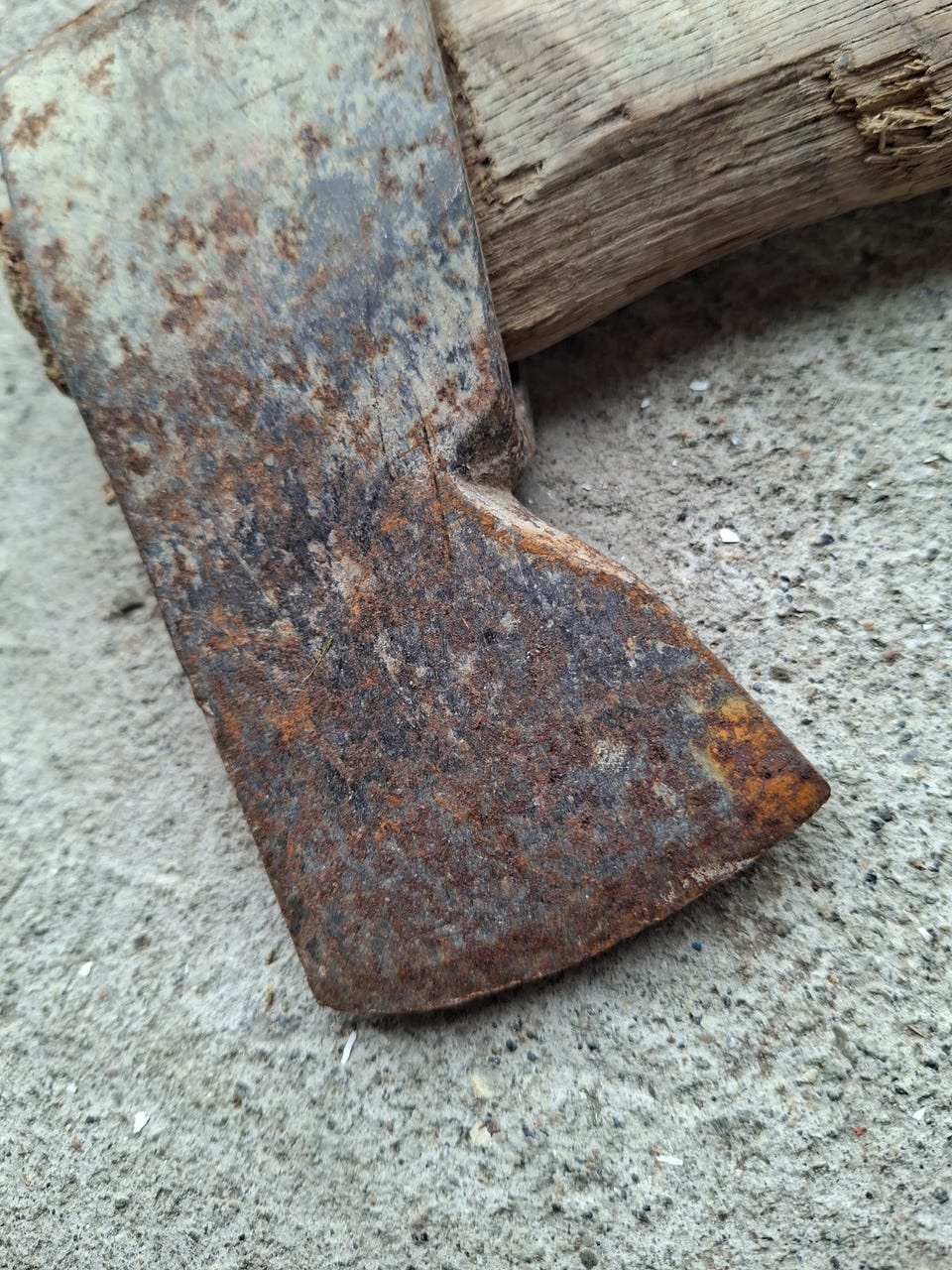 Product image 3 of 12