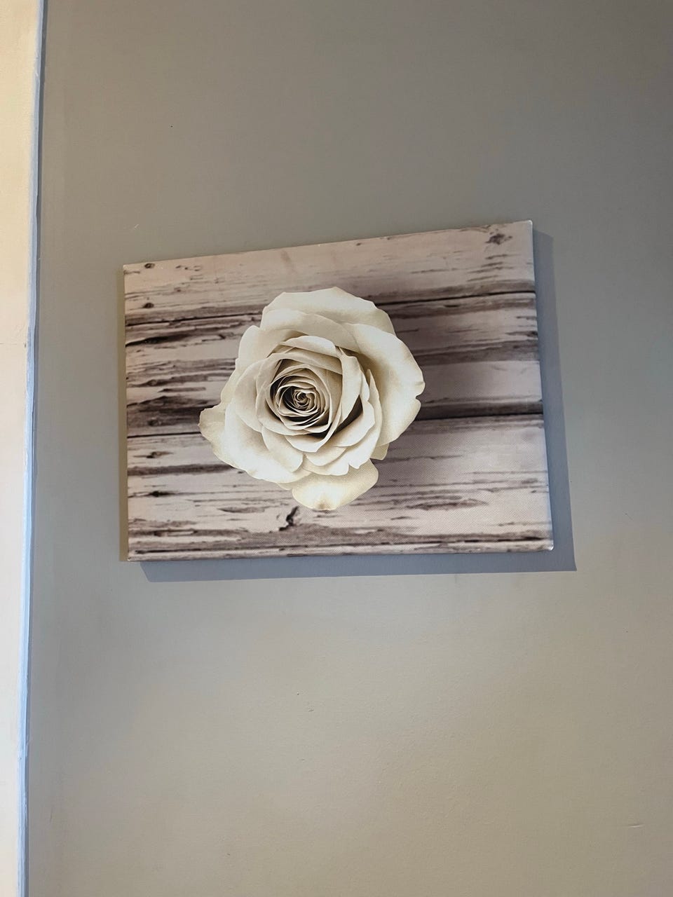 Product image 17 of 24