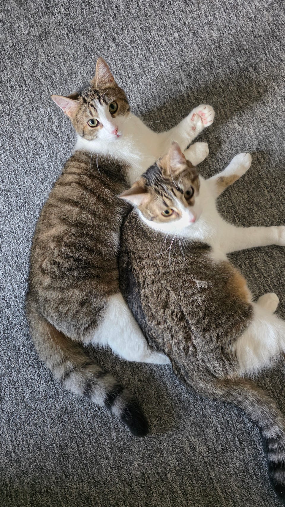 Product image 16 of 100