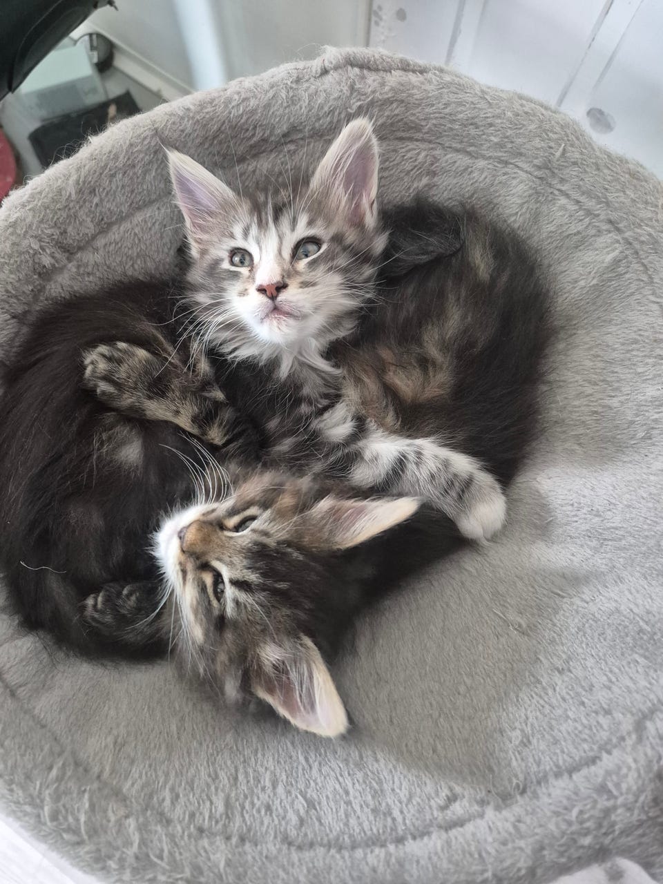 Product image 6 of 14