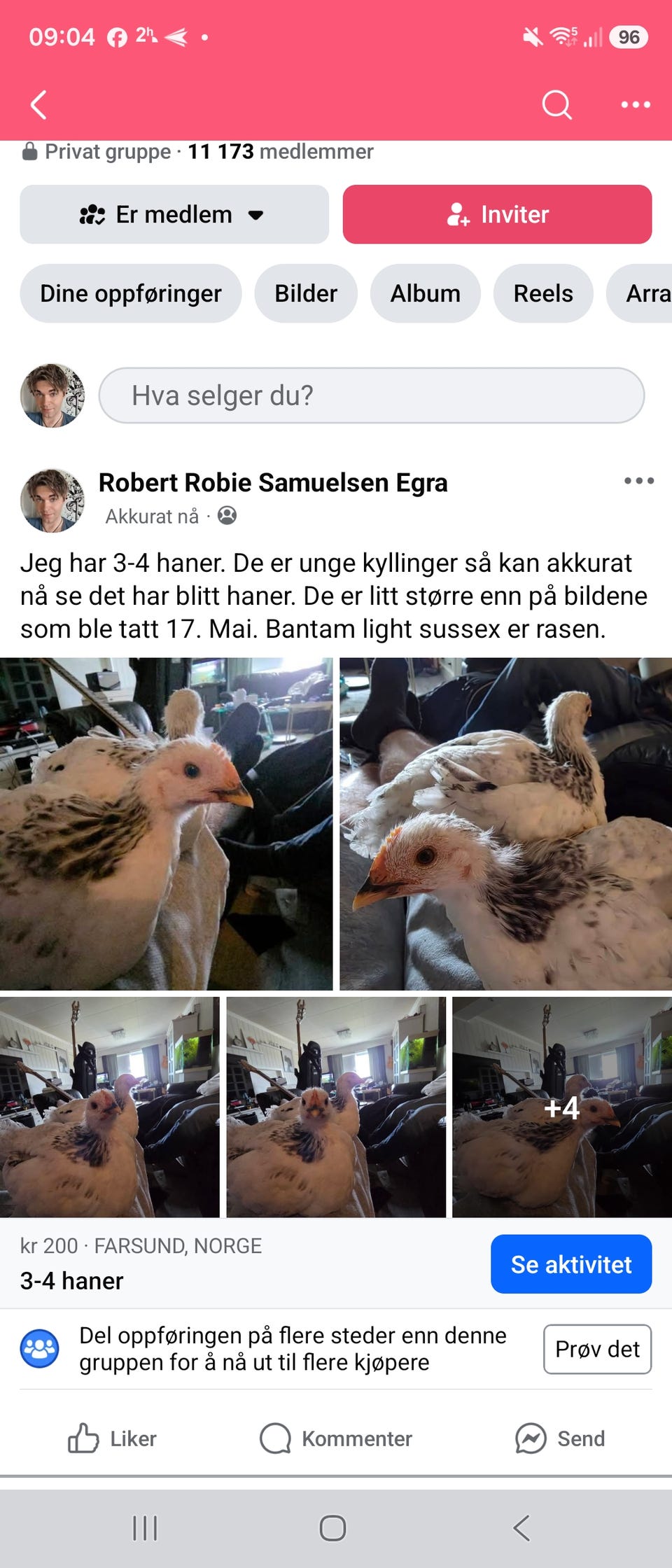 Galleribilde
