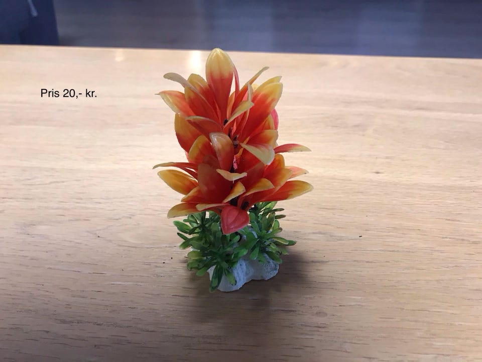 Product image 30 of 47