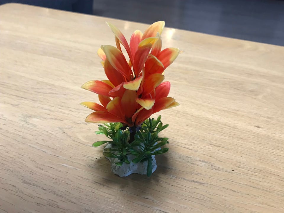 Product image 32 of 47