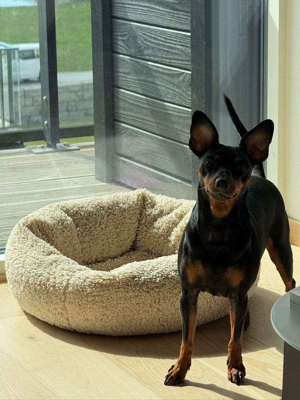Product image 5 of 11