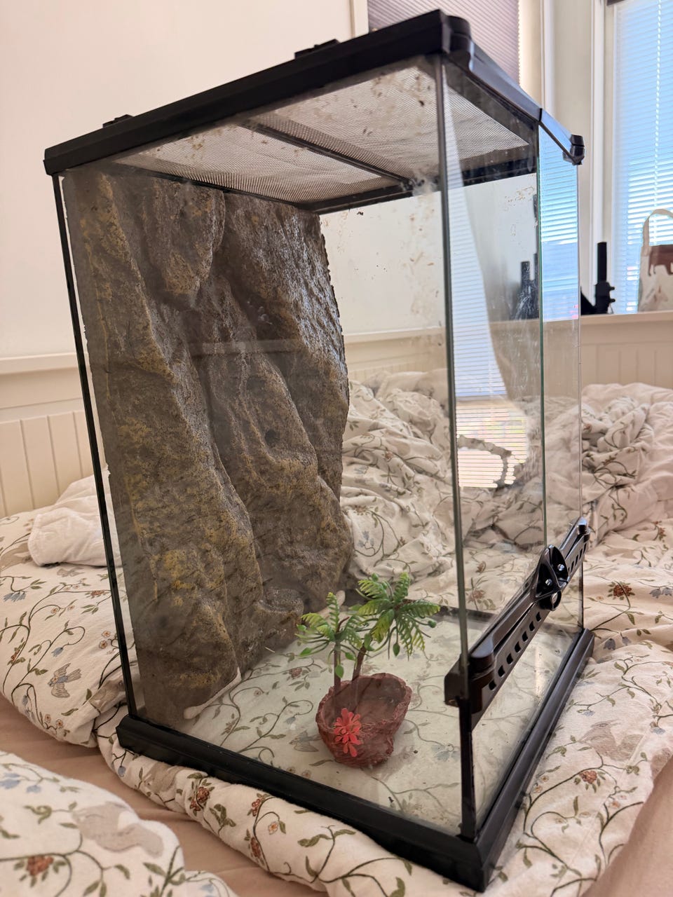 Product image 2 of 11