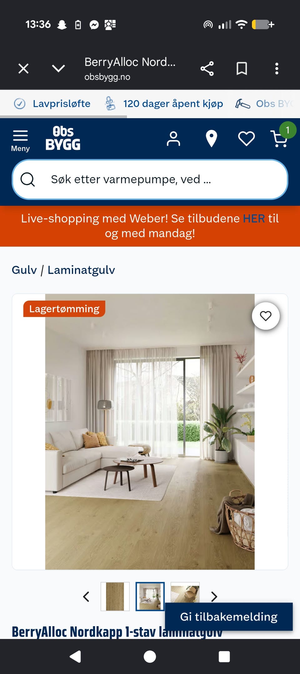 Galleribilde