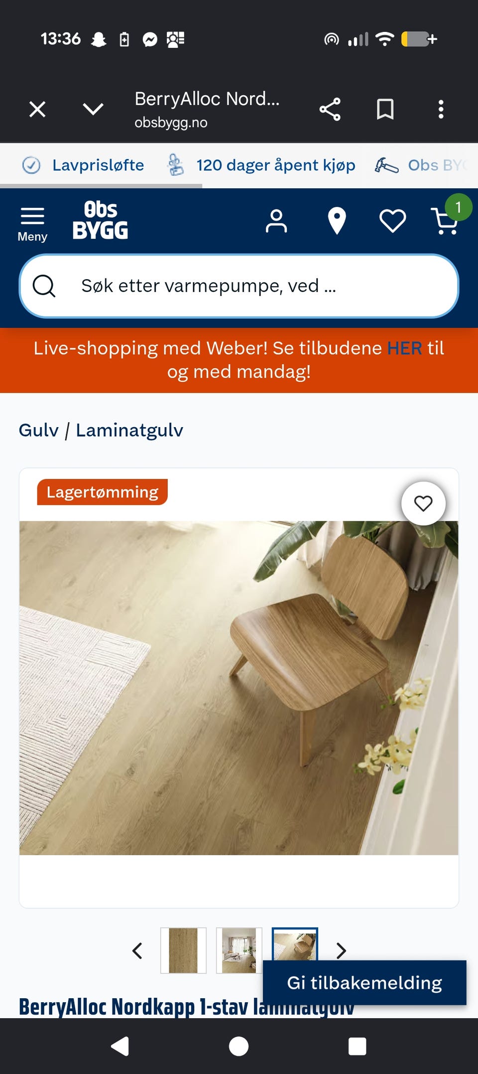 Galleribilde