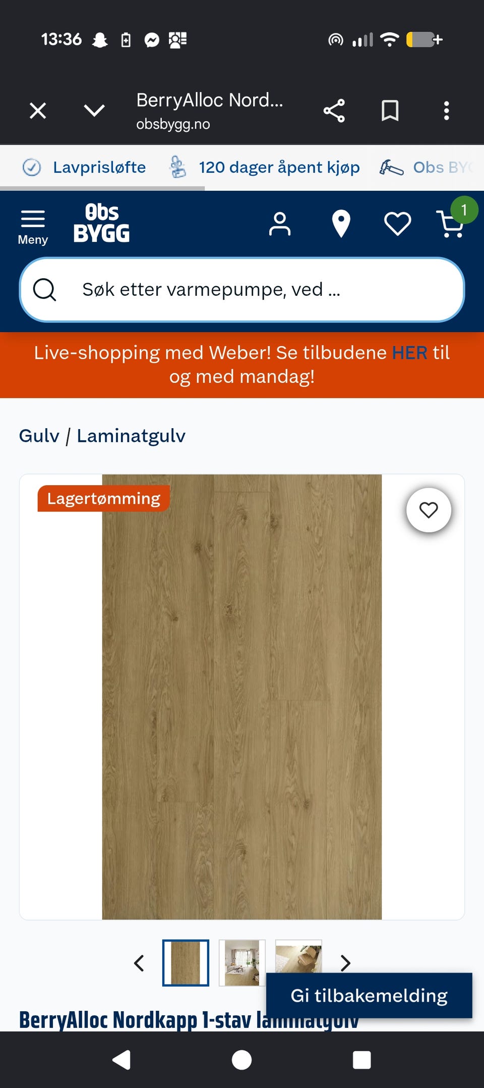 Galleribilde