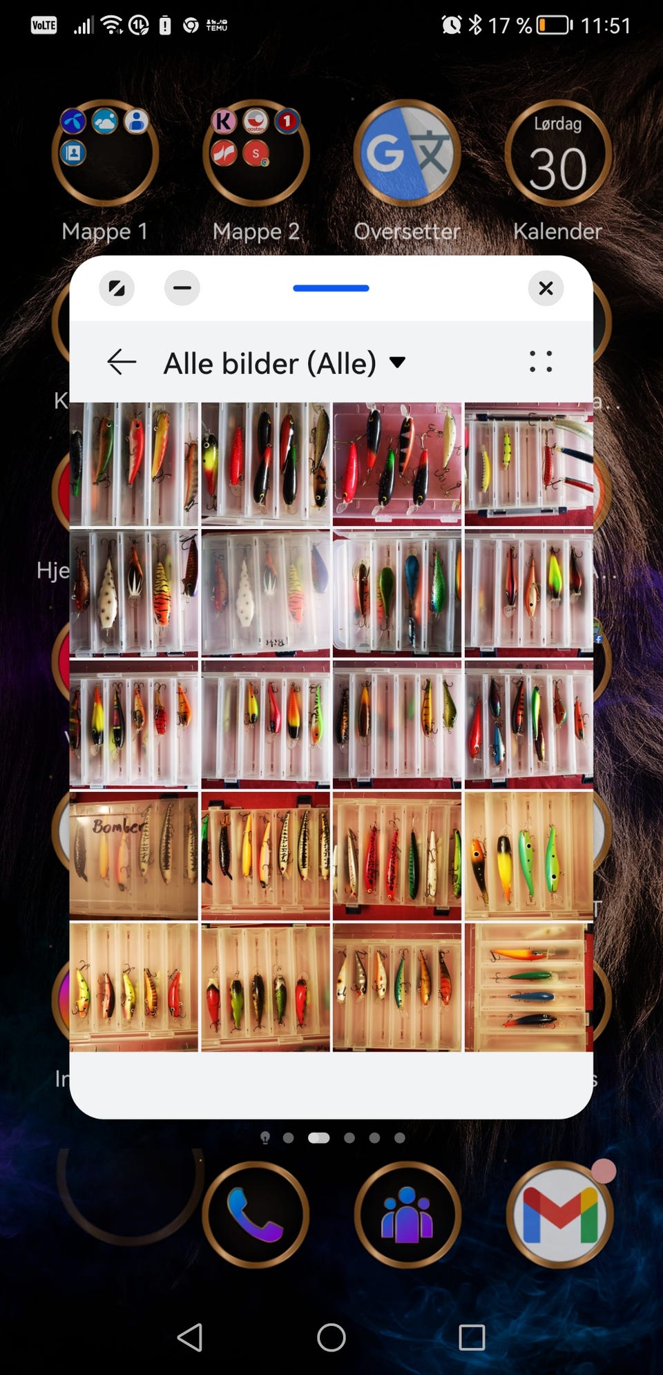 Galleribilde