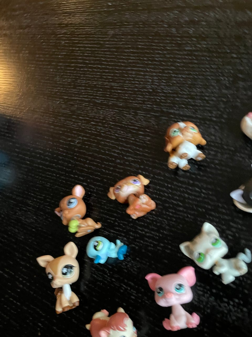 Product image 17 of 21