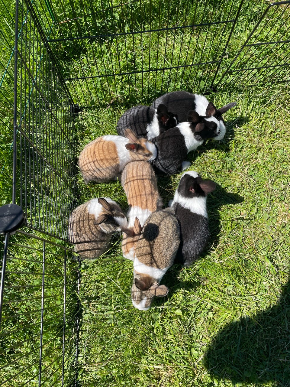 Product image 4 of 16