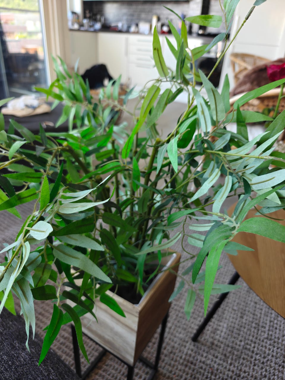 IKEA FEJKA kunstig plante bambus 12 cm potte | FINN-torget